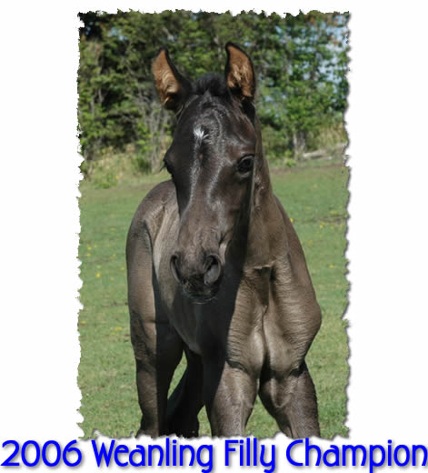 2006 filly by Generator 101 out of Summertime Blues